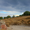 IMG-7165-2