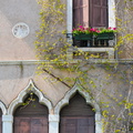 VenedigFenster10