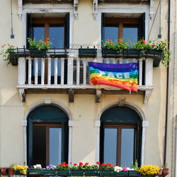 Venedig Fenestre