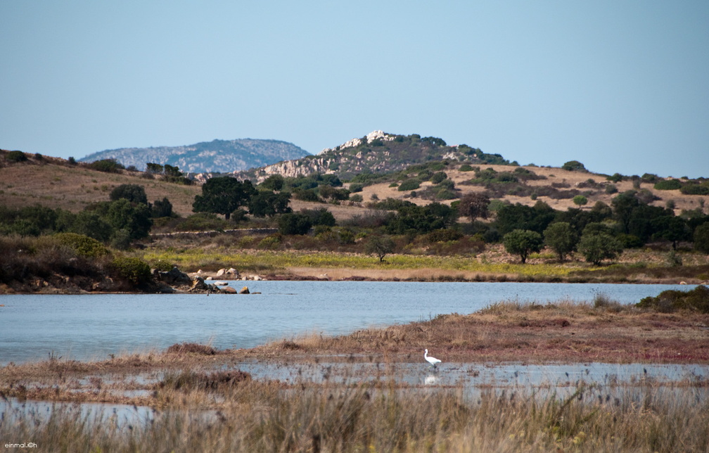 Sardegna-22.jpg