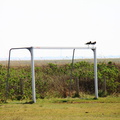 IMG-0602