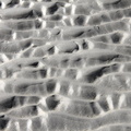 IMG-0944.jpg