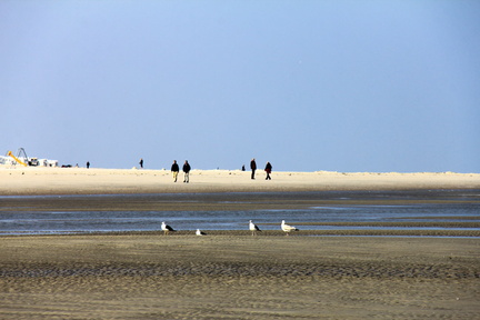 IMG-0937
