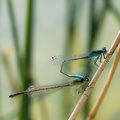 tierisch-3